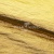 Текстильный материал "Диско"#1805 с покрытием РЕТ, 40гр/м2, 100% полиэстер, цв.5-золото - купить в Кирове. Цена 412.36 руб.