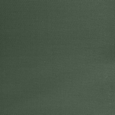 Оксфорд (Oxford) 240D 19-5917, PU/WR, 115 гр/м2, шир.150см, цвет т.зелёный - купить в Кирове. Цена 152.54 руб.
