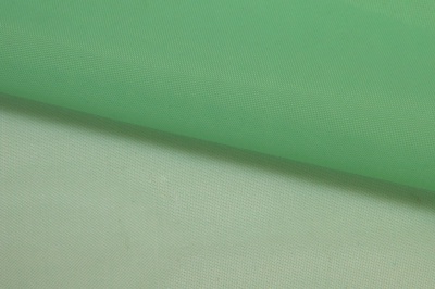 Портьерный капрон 15-6123, 47 гр/м2, шир.300см, цвет св.зелёный - купить в Кирове. Цена 137.27 руб.
