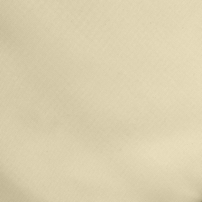 Ткань подкладочная Таффета 14-1014, антист., 53 гр/м2, шир.150см, цвет бежевый - купить в Кирове. Цена 62.37 руб.