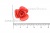 Украшение "Розы малые №1" 20мм - купить в Кирове. Цена: 32.82 руб.
