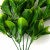 Трава искусственная -1, шт (эвкалипт лист 32 см/8 см)				 - купить в Кирове. Цена: 169.93 руб.