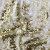 Трикотажное полотно, Сетка с пайетками, шир.130 см, #315, цв.-белый/золото - купить в Кирове. Цена 693.39 руб.