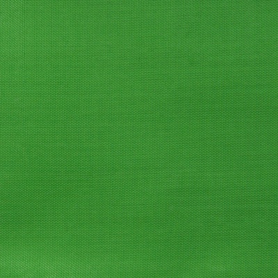 Ткань подкладочная Таффета 17-6153, 48 гр/м2, шир.150см, цвет трава - купить в Кирове. Цена 54.64 руб.