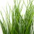 Трава искусственная -4, шт  (осока 50 см/8 см  7 листов)				 - купить в Кирове. Цена: 130.73 руб.