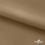 Ткань подкладочная Таффета 17-1327, антист., 54 гр/м2, шир.150см, цвет св.коричневый - купить в Кирове. Цена 65.53 руб.