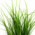 Трава искусственная -3, шт (осока 50 см/8 см  5 листов)				 - купить в Кирове. Цена: 124.17 руб.