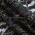 Кружевное полотно XD LACE 1-4, 80 гр/м2, шир.150см, цвет чёрный - купить в Кирове. Цена 245.94 руб.